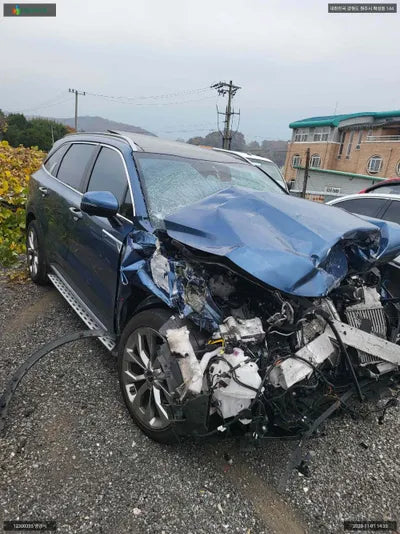 2022 Kia Sorento KNARF81BHPA179003 VIN:KNARF81BHPA179003