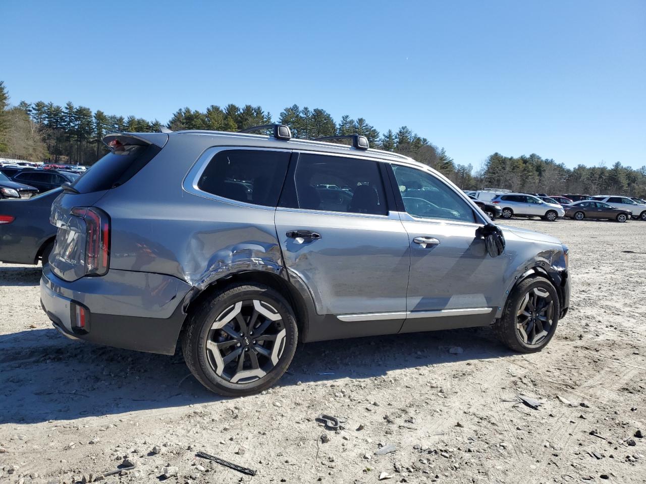 2024 KIA TELLURIDE EX VIN:5XYP3DGC0RG432835