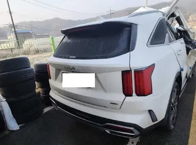 2023 Kia Sorento KNARK81GBPA167065 VIN:KNARK81GBPA167065