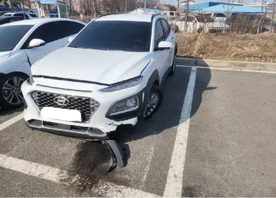 2020 Hyundai Kona KMHK4815GLU563369 VIN:KMHK4815GLU563369