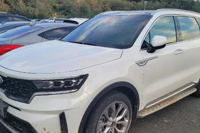 2021 Kia Sorento KNARF81FGMA070590 VIN:KNARF81FGMA070590