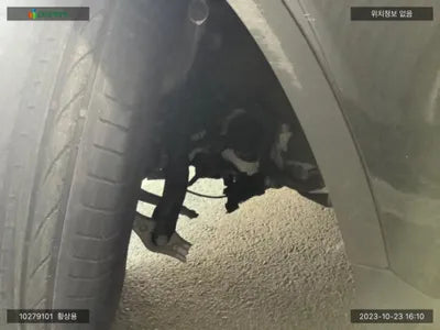 2019 Mercedes-Benz GLC 300 WDC0J4KB6KF516005 VIN:WDC0J4KB6KF516005