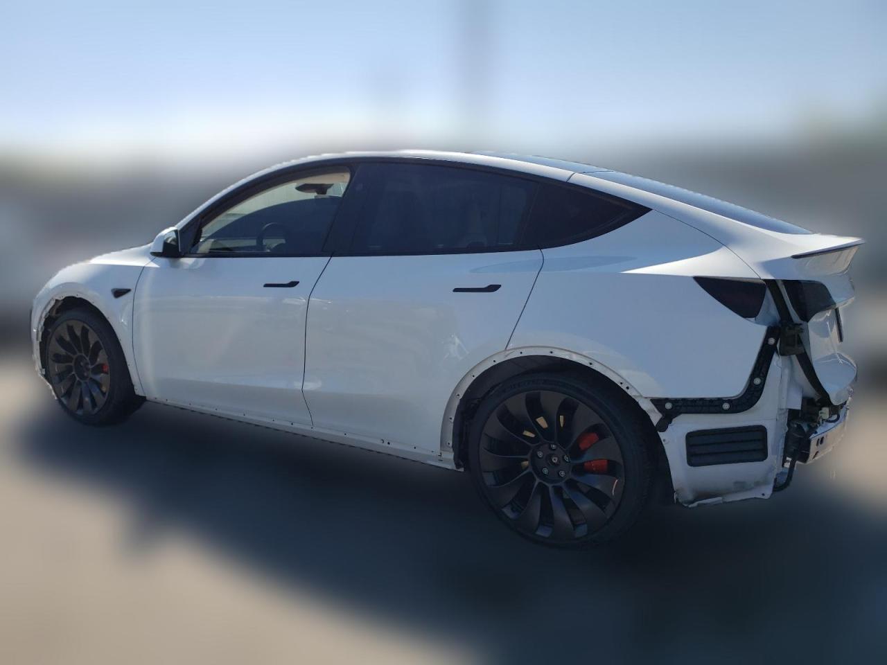 2023 TESLA MODEL Y  VIN:7SAYGDEF9PF867060