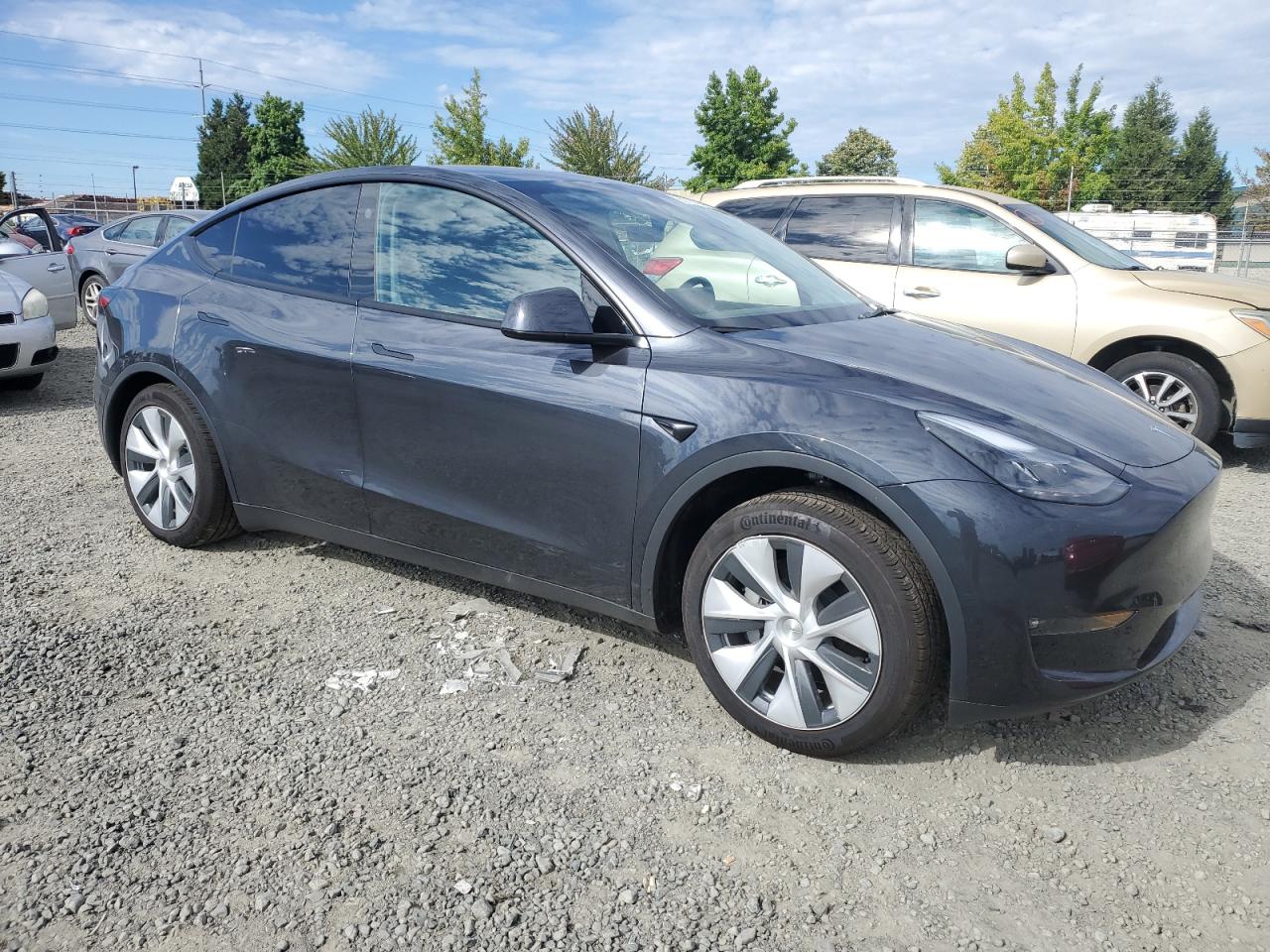 2024 TESLA MODEL Y  VIN:7SAYGDEE4RF063601