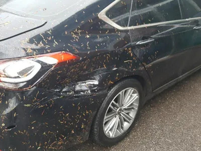 2020 Genesis G80 VIN: