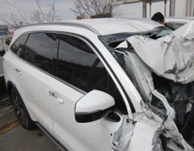2021 Kia Sorento KNARL81BGNA139785 VIN:KNARL81BGNA139785