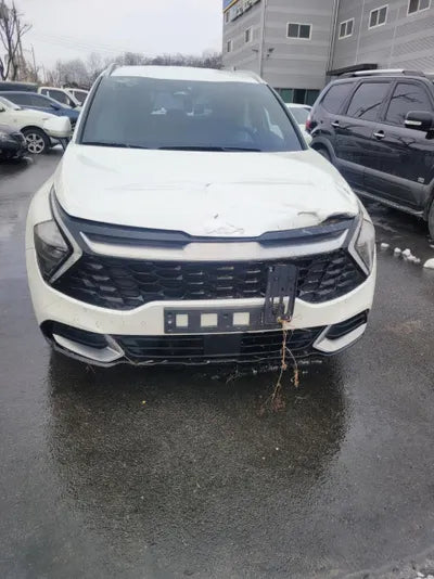 2021 Kia Sportage KNAPH81ABKA519539 VIN:KNAPH81ABKA519539