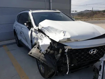 2019 Hyundai Santa FE KMHS281BBKU074285 VIN:KMHS281BBKU074285