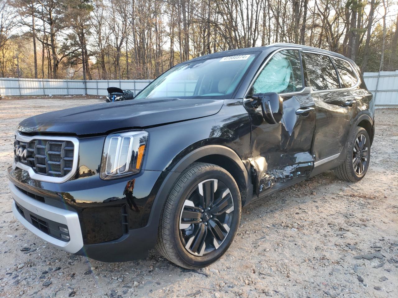 2024 KIA TELLURIDE SX VIN:5XYP5DGC9RG430205