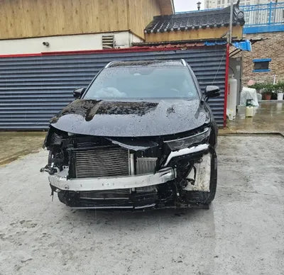 2021 Kia Sorento KNARH81BGMA010820 VIN:KNARH81BGMA010820