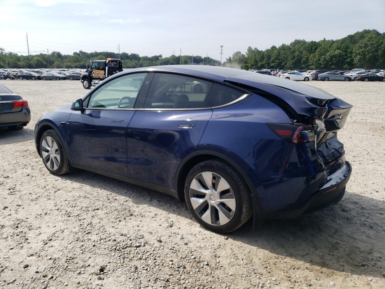 2023 TESLA MODEL Y  VIN:7SAYGDEE8PF859782