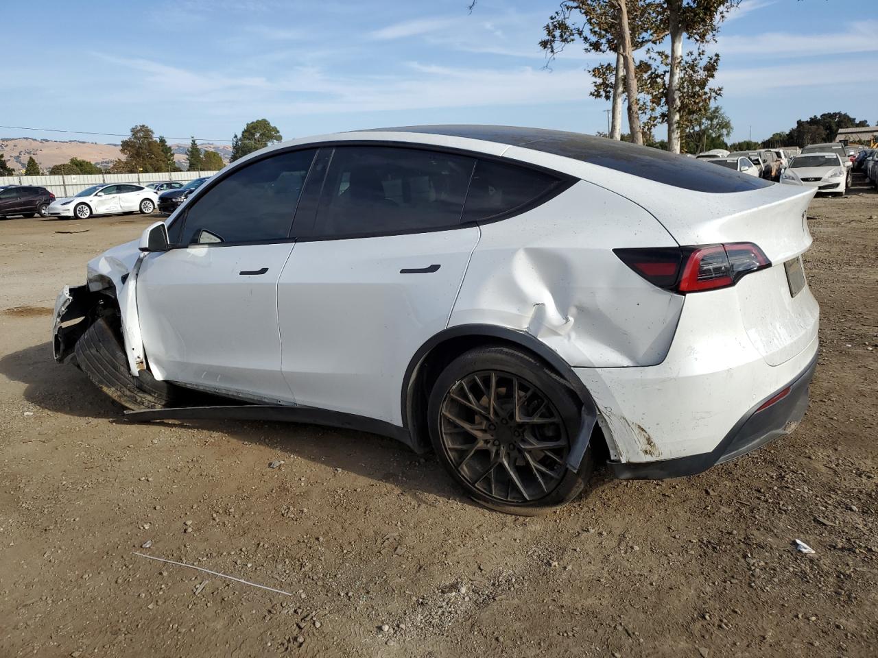 2023 TESLA MODEL Y  VIN:7SAYGDEE6PF583151