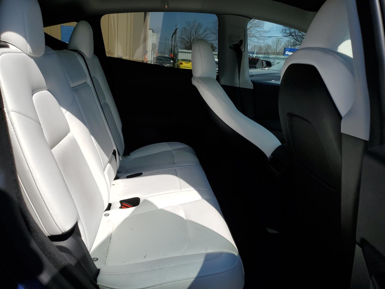 2023 TESLA MODEL Y  VIN:7SAYGDEE6PF809768