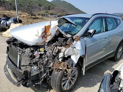 2015 Hyundai Santa FE KMHSW81UDGU594373 VIN:KMHSW81UDGU594373