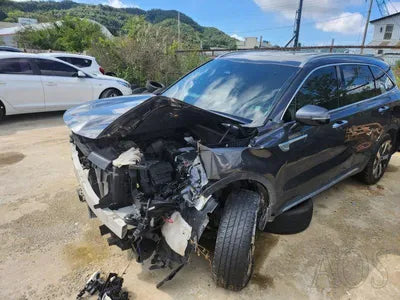 2021 Kia Sorento KNARL81BHMA089925 VIN:KNARL81BHMA089925
