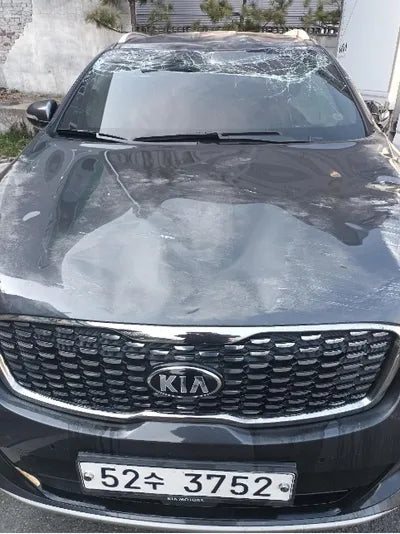 2019 Kia Sorento KNAPK81BDKA504403 VIN:KNAPK81BDKA504403