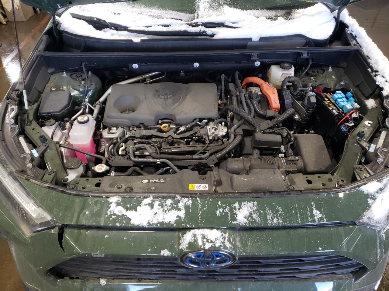 2024 TOYOTA RAV4 WOODLAND EDITION VIN:2T3UWRFV7RW187236