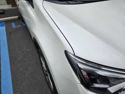 2017 Toyota RAV4 VIN: