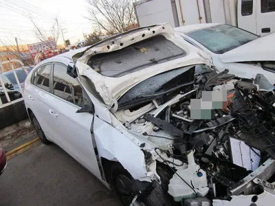 2019 Hyundai Ioniq KMHC851CGLU172972 VIN:KMHC851CGLU172972