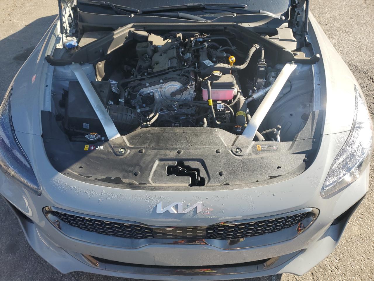 2023 KIA STINGER GT LINE VIN:KNAE35LD4P6131459