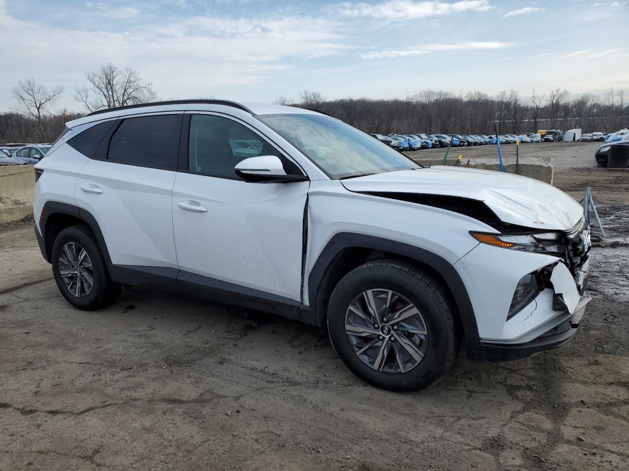 2023 HYUNDAI TUCSON BLUE VIN:KM8JBCA11PU131802