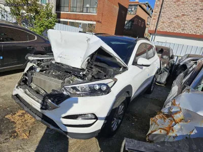 2017 Hyundai Tucson 411KMKMHJ3815GHU2 VIN:411KMKMHJ3815GHU2