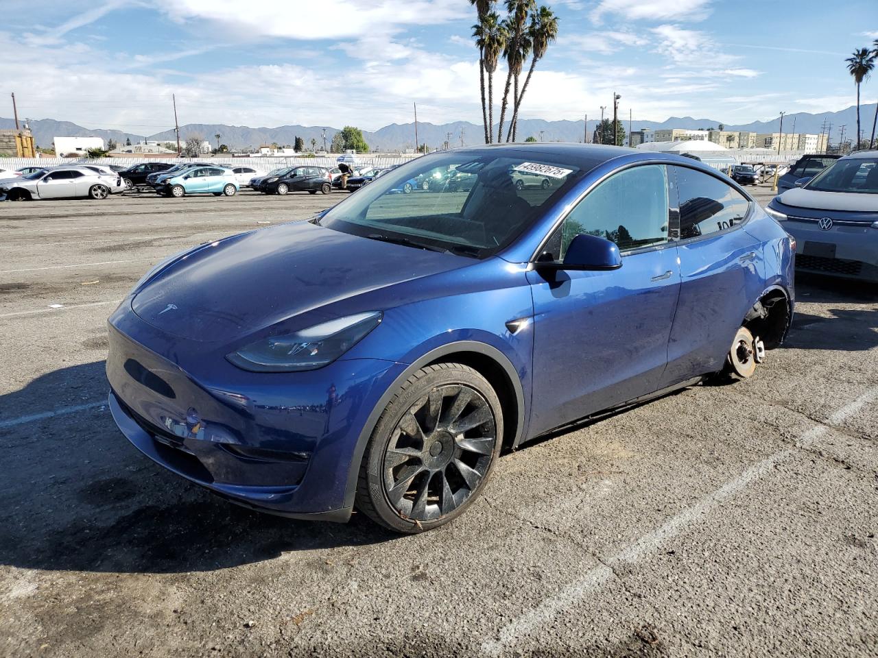 2023 TESLA MODEL Y  VIN:7SAYGDEEXPF814469