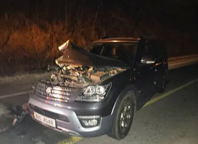 2018 Kia Mohave 080KMKNAKN814DJA1 VIN:080KMKNAKN814DJA1