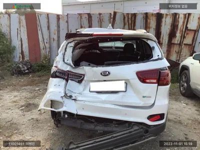 2019 Kia Sorento KNAPG81ABLA555610 VIN:KNAPG81ABLA555610
