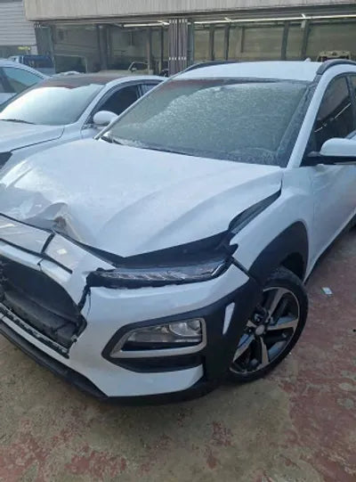 2019 Hyundai Kona KMHK4815GKU412636 VIN:KMHK4815GKU412636