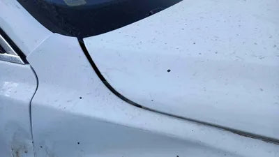 2016 Jaguar XF SAJBB4BG2GCY23785 VIN:SAJBB4BG2GCY23785