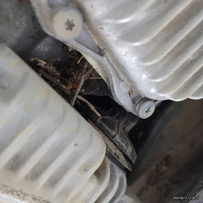 2021 BMW X4 M WBSUJ010XM9F16036 VIN:WBSUJ010XM9F16036