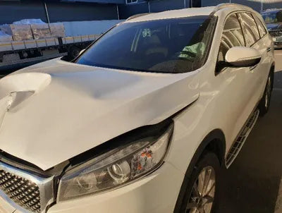 2016 Kia Sorento KNAPH81ABGA216735 VIN:KNAPH81ABGA216735