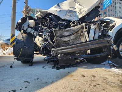 2018 Hyundai Santa FE KMHSW81UBJU809192 VIN:KMHSW81UBJU809192