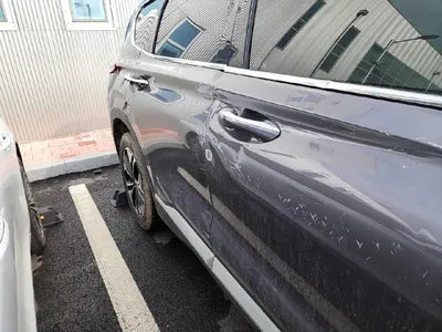 2020 Hyundai Santa FE KMHS381BDLU264845 VIN:KMHS381BDLU264845