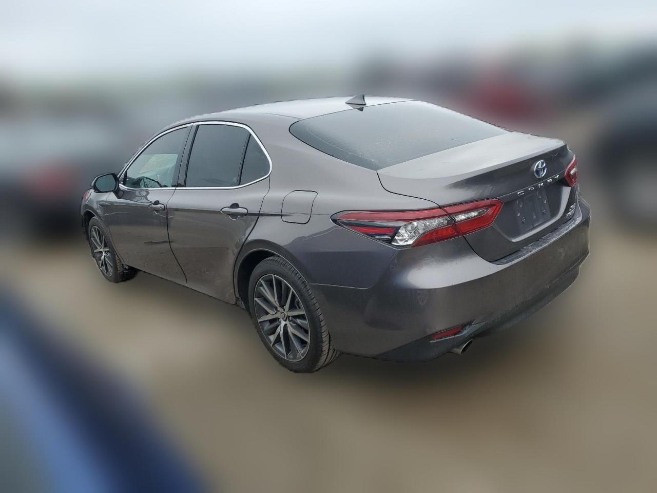 2022 TOYOTA CAMRY XLE VIN:4T1F31AKXNU591134