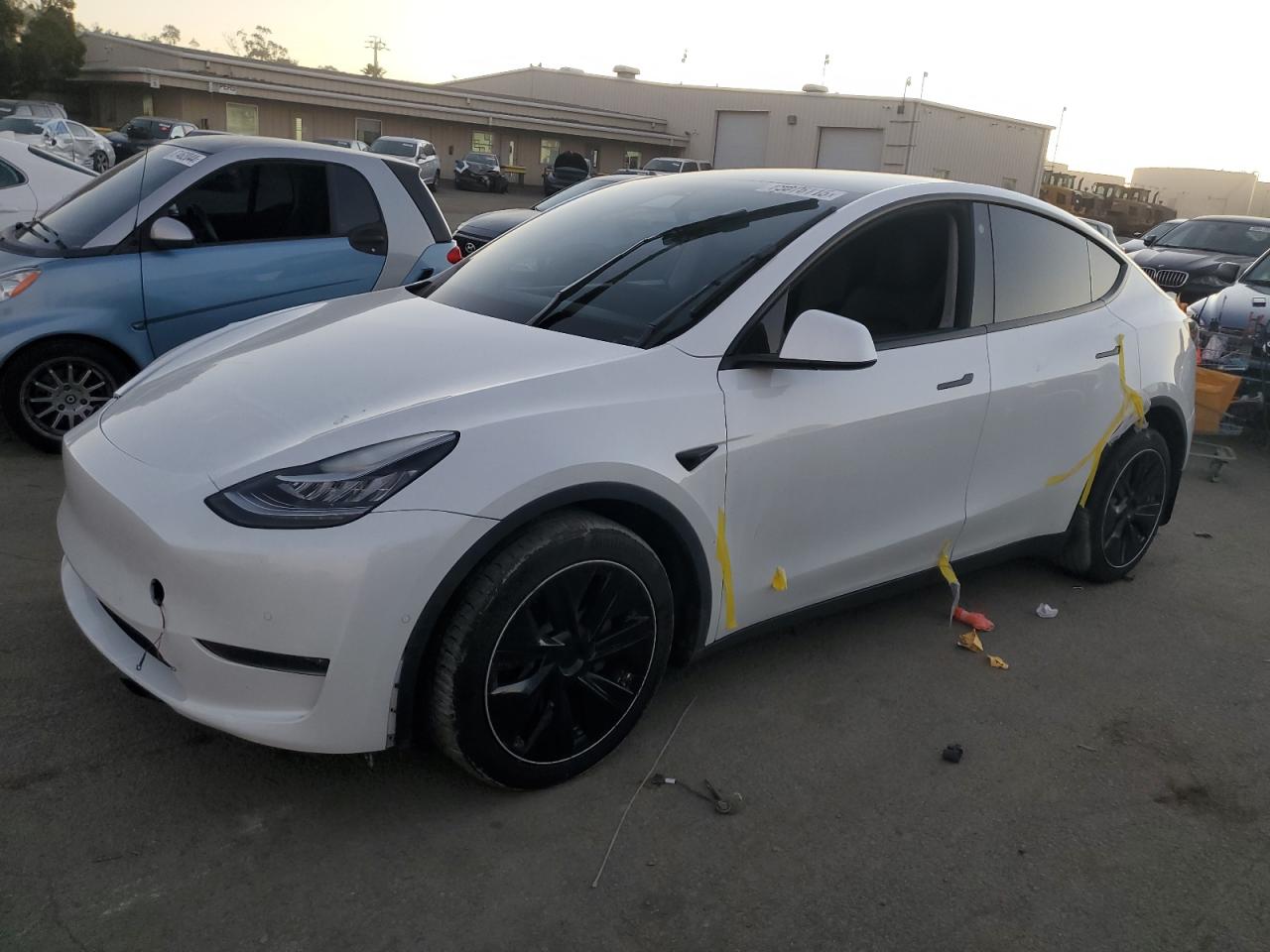 2022 TESLA MODEL Y  VIN:7SAYGDEE2NF429985