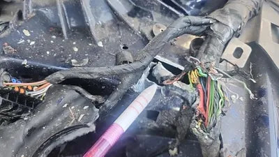 2019 BMW 530 WBAJD9102KWW31910 VIN:WBAJD9102KWW31910