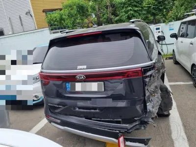 2021 Kia Carnival KNANB81BBMS113372 VIN:KNANB81BBMS113372