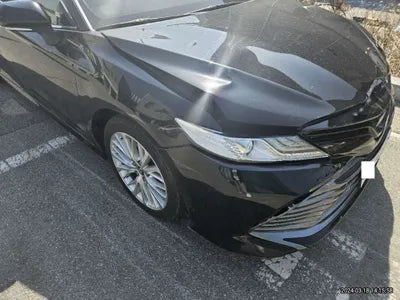 2019 Toyota Camry JTNB11HKXK3087825 VIN:JTNB11HKXK3087825