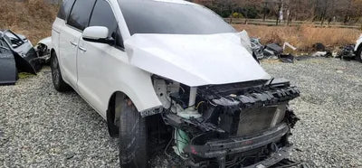2019 Kia Carnival KNHMF37ABKS553933 VIN:KNHMF37ABKS553933
