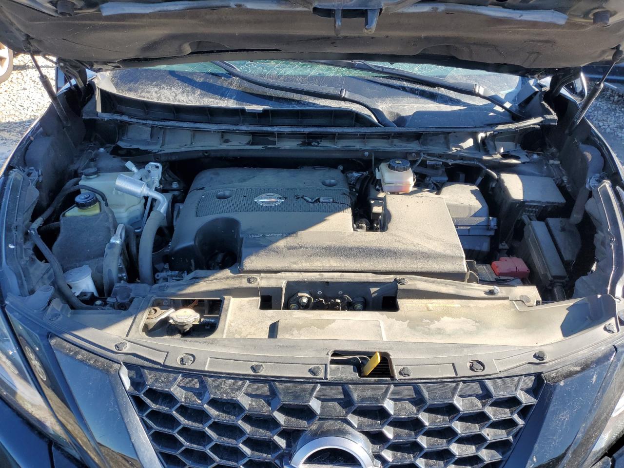 2023 NISSAN MURANO SV VIN:JM1GL1TY0J1316281