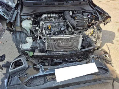 2019 Hyundai Kona KMHK4815GKU409949 VIN:KMHK4815GKU409949