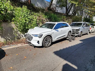 2020 Audi e-tron VIN: