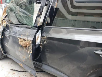 2022 Hyundai Tucson KMHJE811BPU080400 VIN:KMHJE811BPU080400