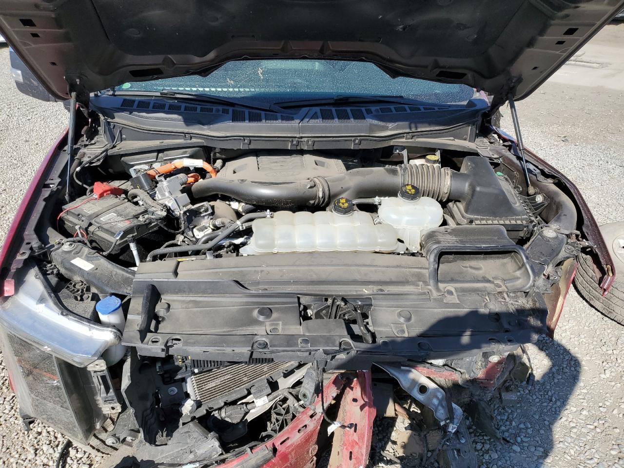 2022 FORD F150 SUPERCREW VIN:1FTFW1ED7NFB11918