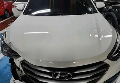 2018 Hyundai Santa FE KMHSW81UBJU782437 VIN:KMHSW81UBJU782437