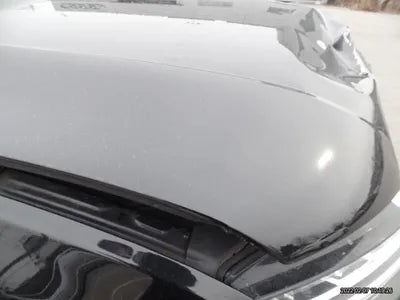 2017 Audi 50 WAUZZZ4GXHN022219 VIN:WAUZZZ4GXHN022219