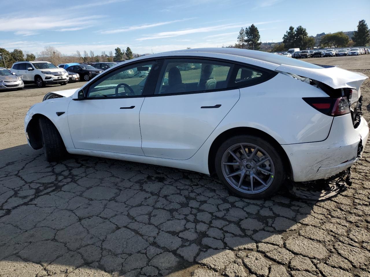 2022 TESLA MODEL 3  VIN:5YJ3E1EB6NF366696