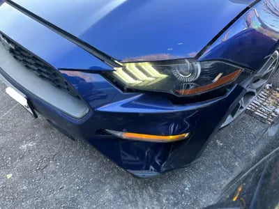 2019 Ford Mustang 442KM1FA6P8TH4K51 VIN:442KM1FA6P8TH4K51